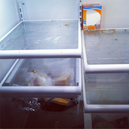 dirty refrigerator cleaning service